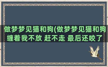 做梦梦见猫和狗(做梦梦见猫和狗缠着我不放 赶不走 最后还咬了我一口)